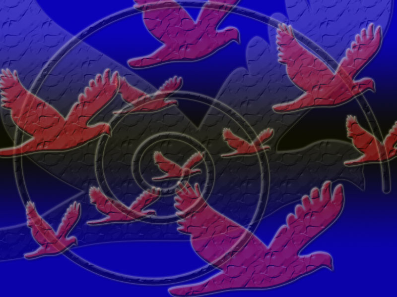 design2